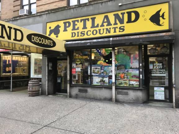A Petland Discount store on West 23rd Street off Eighth Avenue in Chelsea before it closed in March 2019. The pet chain, a fixture in Manhattan since its founding in 1965, shuttered all 11 of its stores in the borough and totally vanished from the retail landscape.