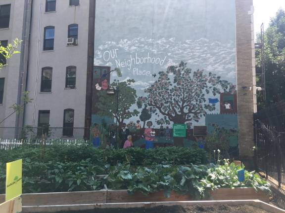 The Harlem Grown garden on West 127th Street.