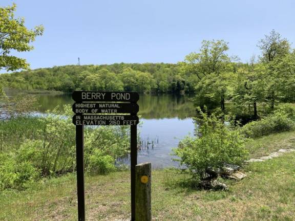 Within the Pittsfield State Forest stands Berry Pond, 2150 feet above sea level, the highest natural body of water in Massachusetts. Whether you are hiking or in a motor vehicle, it’s a slice of heaven just a few miles west of Downtown Pittsfield.