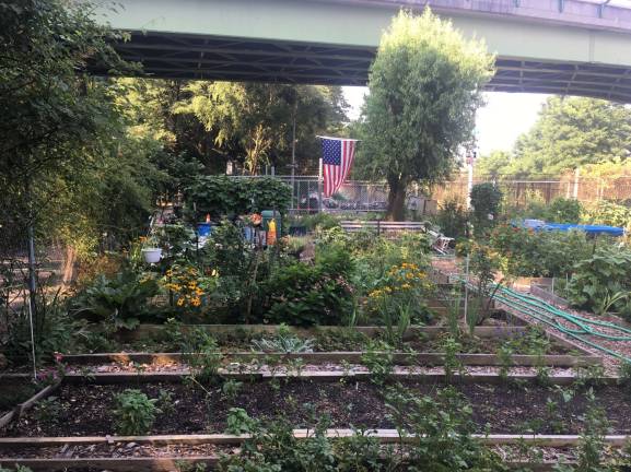 The Riverside Valley Community Garden at the western end of 138th Street. The garden's bounty is shared with an Upper West Side soup kitchen. Photo: Richard Khavkine