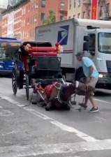 Ian McKeever trying to get an exhausted horse, Ryder, off the street in 2022. The horse later died, leading to McKeever getting hit with animal abuse charges. He has now been acquitted by a jury of his peers.