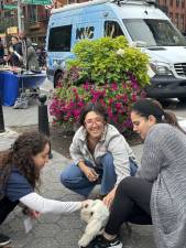 Owner holding dog while a volunteer veterinarian from Bond Vet-Evelyn Cintron-microchips dog and Alexandra Silver from the mayor’s office of animal welfare supervises. Photo by: Vanessa Torres