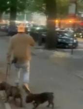 The Central Park dog killer suspect walking away from the crime, as seen in footage aired by ABC7. He remains at large.