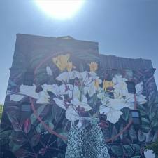 A pollutant-absorbing mural called “Botanical Pulse” now graces a building abutting Hell’s Kitchen Park.