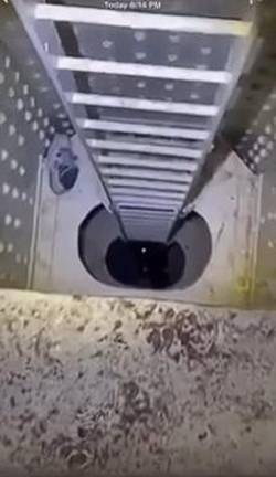 Companions posted videos of the injured Franke Allocca after he fell down a 50 ft shaft on the Queensboro Bridge but they fled and never notified first responders.