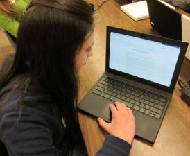 Some New York school districts are using remote learning for immigrant students afraid to attend school amid heightened deportation fears, a state official recently revealed.