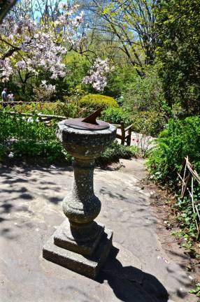 What’s Happening in Central Park