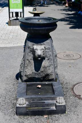 What’s Happening in the Park