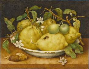Giovanna Garzoni , Still Life with Bowl of Citrons, c. 1640, Tempera on vellum, The J. Paul Getty Museum, Public Domain image