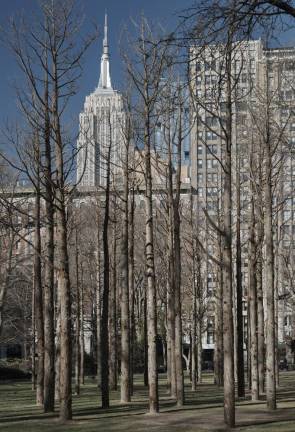 Maya Lin (American, b. 1959). Ghost Forest, 2021. Courtesy the artist and Madison Square Park Conservancy. Photo: Andy Romer