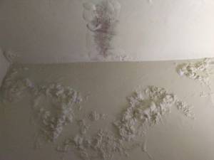 Damp, bubbling paint and mold on an apartment wall and ceiling in Holmes Towers.