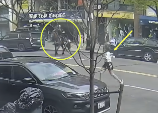 The suspect, Felicia Field, in white shirt and black shorts, is seen running from an officer who was pursuing her on horseback.