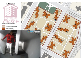 Avery Dunning on the morning of Feb. 22, 2023, in the NYCHA Lincoln Houses.