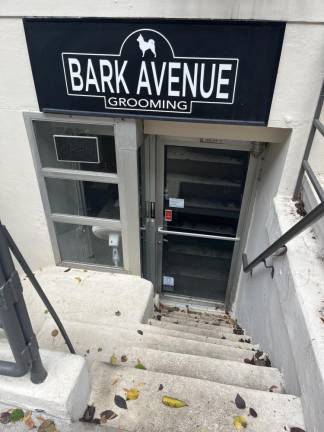 Bark Avenue Grooming on the UWS will try to accommodate extra-speedy grooming for service dogs. Photo: Kay Bontempo