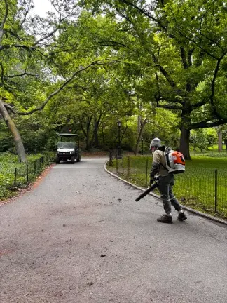 A Central Park Conservancy staff member at work.