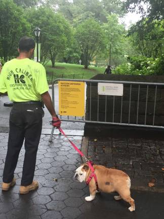 City authorities posted advisories notifying dog owners of a recent outbreak of distemper in Central Park raccoons. Photo: Michael Garofalo