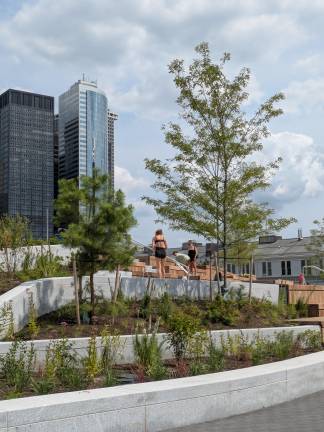Skinny trees, native planting, and jump-rope exercises on the ramps.