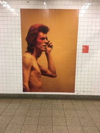 Bowie in the Ziggy Stardust days. Photo: Mark Nimar