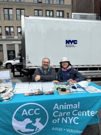 Pets Survived the Life-Threatening Flood