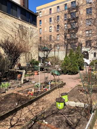 Neighborhood residents tend about 30 plots at La Perla community garden, which took root on three empty lots on West 105th Street near Columbus Avenue about 25 years ago. One of the lots is now on the market and the garden will likely shrink by about one-third, but remain on two contiguous lots. Photo: Shoshy Ciment