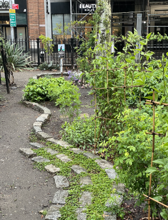 Paving and planting done by volunteers, facing Broadway.