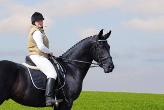Best Horse Riding near Upper West Side (NY)