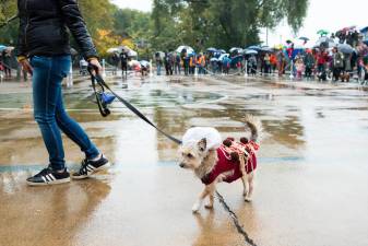 Dave struts his stuff.