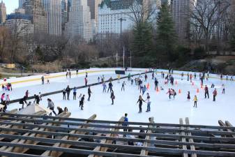 Wollman Rink in Central Park. Photo: Shinya Suzuki, via Flickr