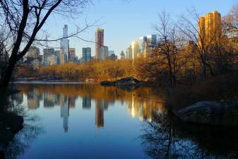 Central Park. Photo by Rachel Kramer via Flickr.