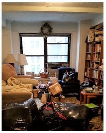 What not to do. Photo: Andrew J. Kramer