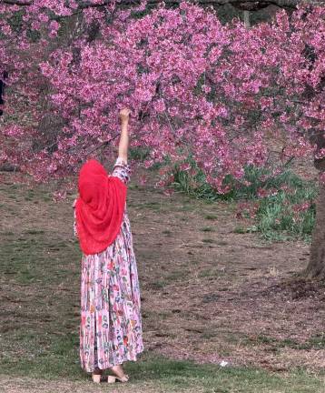 Lady admiring blossoms