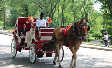 The Central Park Conservancy is now backing a ban on carriage horses, a significant part of the park’s history.