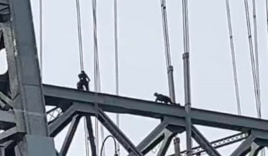 Men up on the Williamsburg Bridge on the morning of Friday, October 27. They may have been NYPD officers attempting to get a possible bridge-jumper off the cables. Mayor Eric Adams confirmed that a man had been taken into custody around 10 a.m.