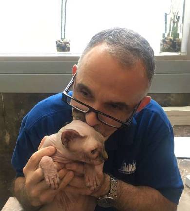 At New York Cat Hospital, Dr. Peter Soboroff works with pets and owners to establish trust