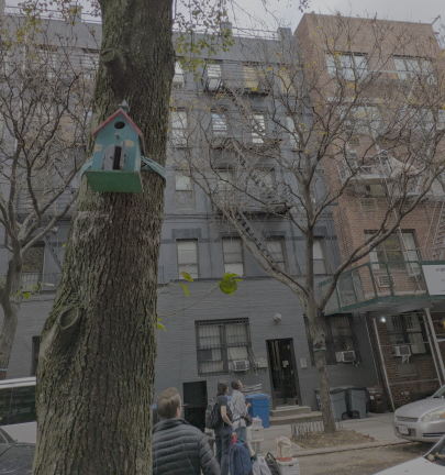 Yorkville birdhouse behind which is 409 E. 81st St; top-floor right apartment boarded up. The occupant of the apartment was responsible for the colorful birdhouses attached to trees up and down the block.