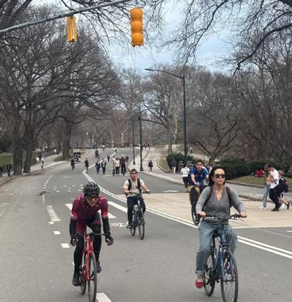 The Central Park Conservancy covered many of the traffic lights in the park which makes for smoother traffic flow for e-bikes. Pedestrians complain it makes the park less safer when trying to cross the streets inside the park.