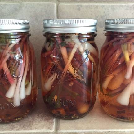 Pickled ramps