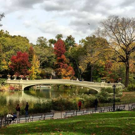 Coming up in Central Park