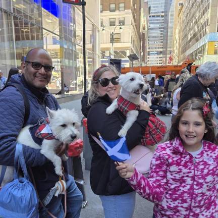 Tartan Day Parade welcomes dogs who wear plaid too.