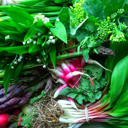 An Overabundance of Diets can Muddle Meals The community kitchen