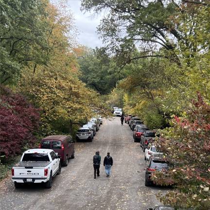 Bridle path or parking lot? Hard to know.