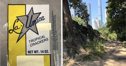 Unsolved: Cops Still Hunting for July 2016 Central Park Bomber