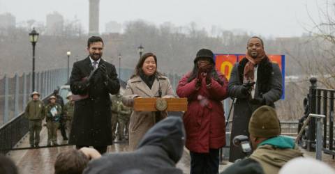 Shimamura Rising: Manhattan Boss Parkie Named NYC Parks Commissioner