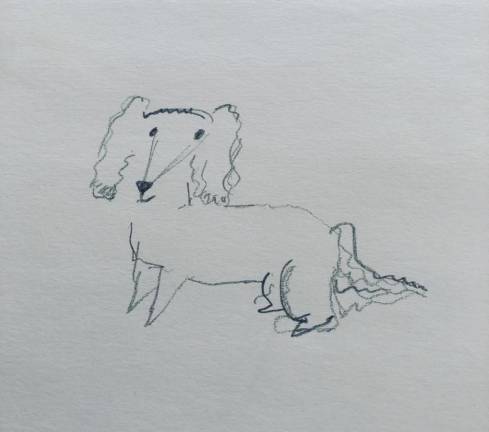 Dog drawing by a student, the first step before painting.