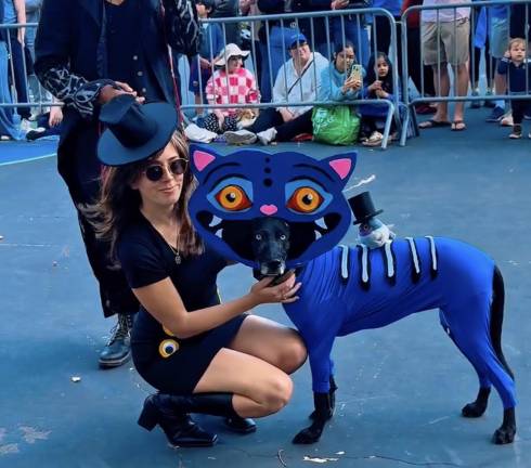 Dog Halloween at Carl Schurz Park.