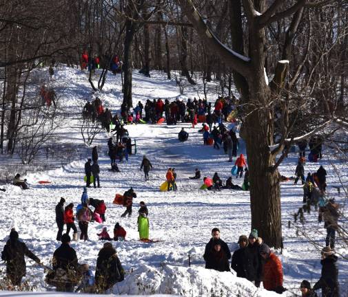 Central Park
