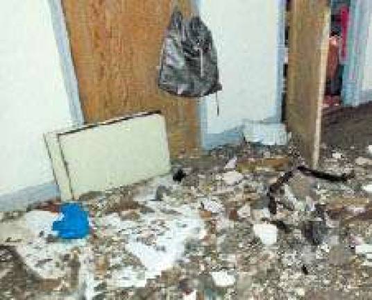 Fighting The Landlord