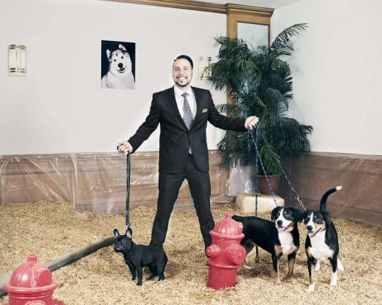 Jerry Grymek, concierge to the Very Important Pooches participating in the Westminster Kennel Club Dog Show, with a trio of clients. Photo: Ryan Segedi