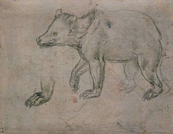 Leonardo da Vinci drew "A Bear Walking" in about 1482. It's on view at the Met Fifth Avenue. Photo: Adel Gorgy