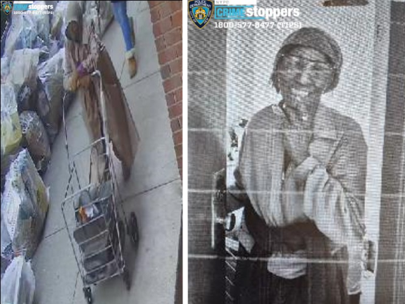 Missing Upper West Side woman, Marjorie Cleonese-Laporte.